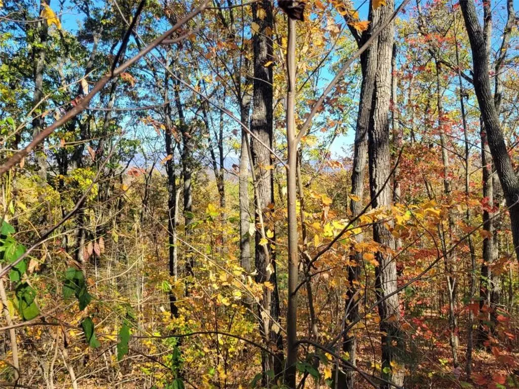 Ellijay, GA 30540,8 AC Old Burnt MTN