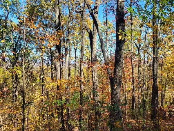 Ellijay, GA 30540,8 AC Old Burnt MTN