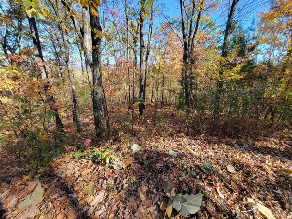 Ellijay, GA 30540,8 AC Old Burnt MTN