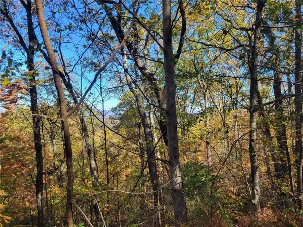 Ellijay, GA 30540,6 AC Old Burnt MTN