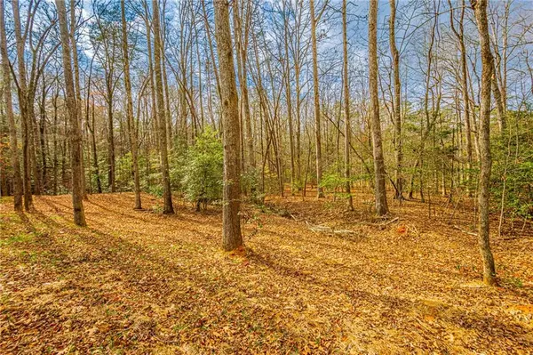 Dahlonega, GA 30533,90 Lake Point DR