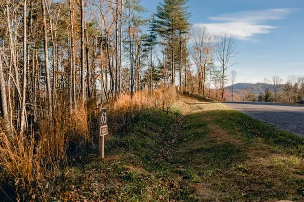 Morganton, GA 30560,LT 63 Ridges Of Blue Ridge