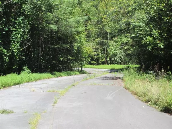 Ellijay, GA 30540,00 Hwy 515 @ White Path Springs Way