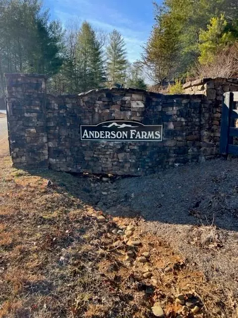 Ellijay, GA 30536,Lot 17 Frances DR