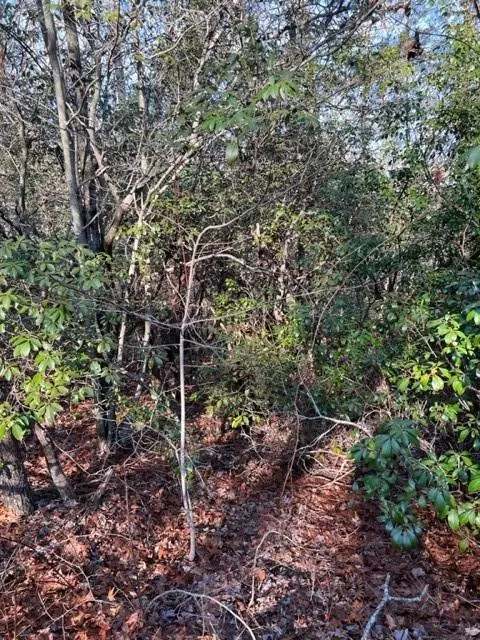 Ellijay, GA 30536,Lot 18 Frances Drive