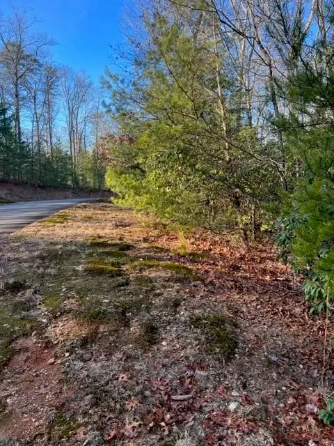Ellijay, GA 30536,Lot 18 Frances DR