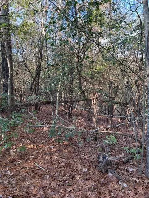 Ellijay, GA 30536,Lot 18 Frances Drive