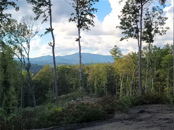 Ellijay, GA 30540,1705 Old Northcutt RD