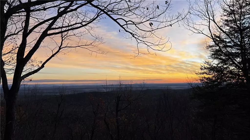 64 Wild Turkey BLF, Jasper, GA 30143