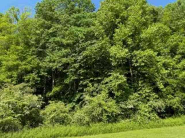 Ellijay, GA 30540,LOT 8 Hidden Valley TRL