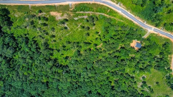 Talking Rock, GA 30175,LT 197 Oak Park DR