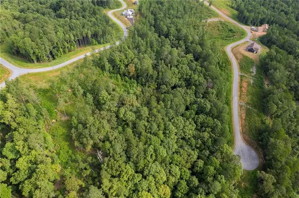 Talking Rock, GA 30175,LT 195 Blalock Mountain Rd