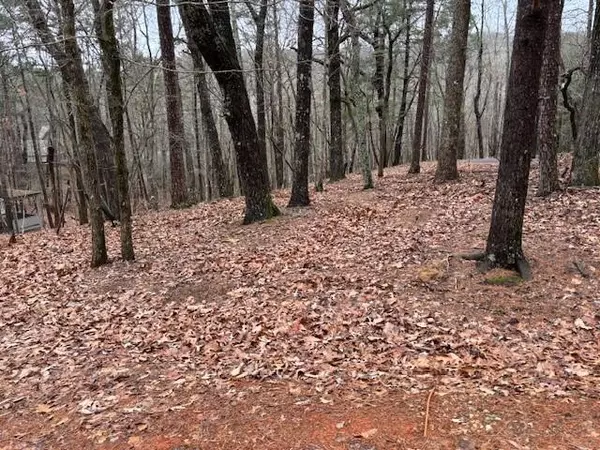 Big Canoe, GA 30143,1023 Sparrows Nest