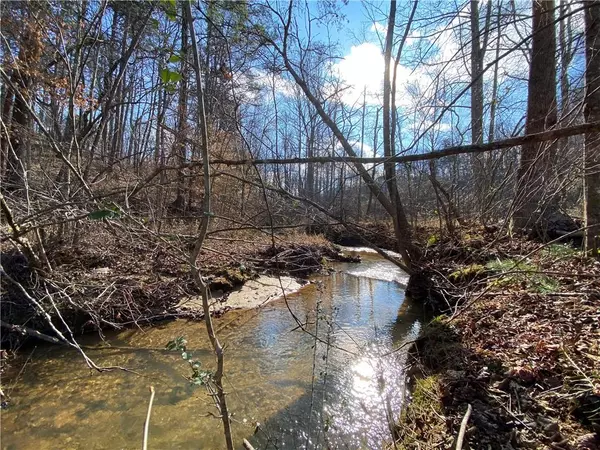 Dahlonega, GA 30533,11.88 Acres Sheep Wallow Rd