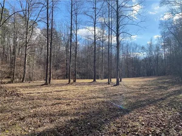 Dahlonega, GA 30533,11.88 Acres Sheep Wallow RD