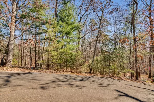 Big Canoe, GA 30143,3356 Bee Balm WAY