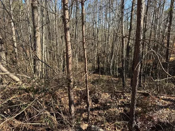 Dallas, GA 30132,141 CELESTIAL RIDGE DR