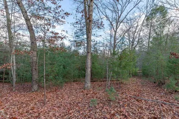 Blairsville, GA 30512,Lot 8 B & W Ranch RD