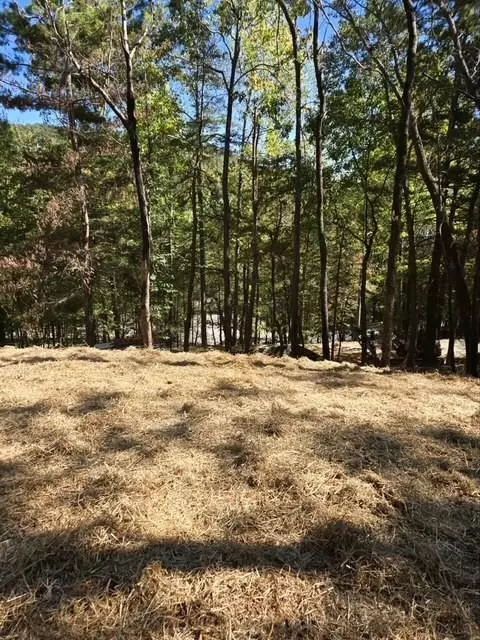 Big Canoe, GA 30143,29 Treetopper LN