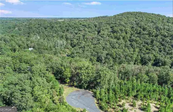 Demorest, GA 30535,LOT 4 Olde Rockhouse LN