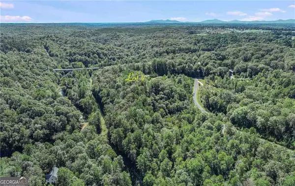 Demorest, GA 30535,LOT 4 Olde Rockhouse LN