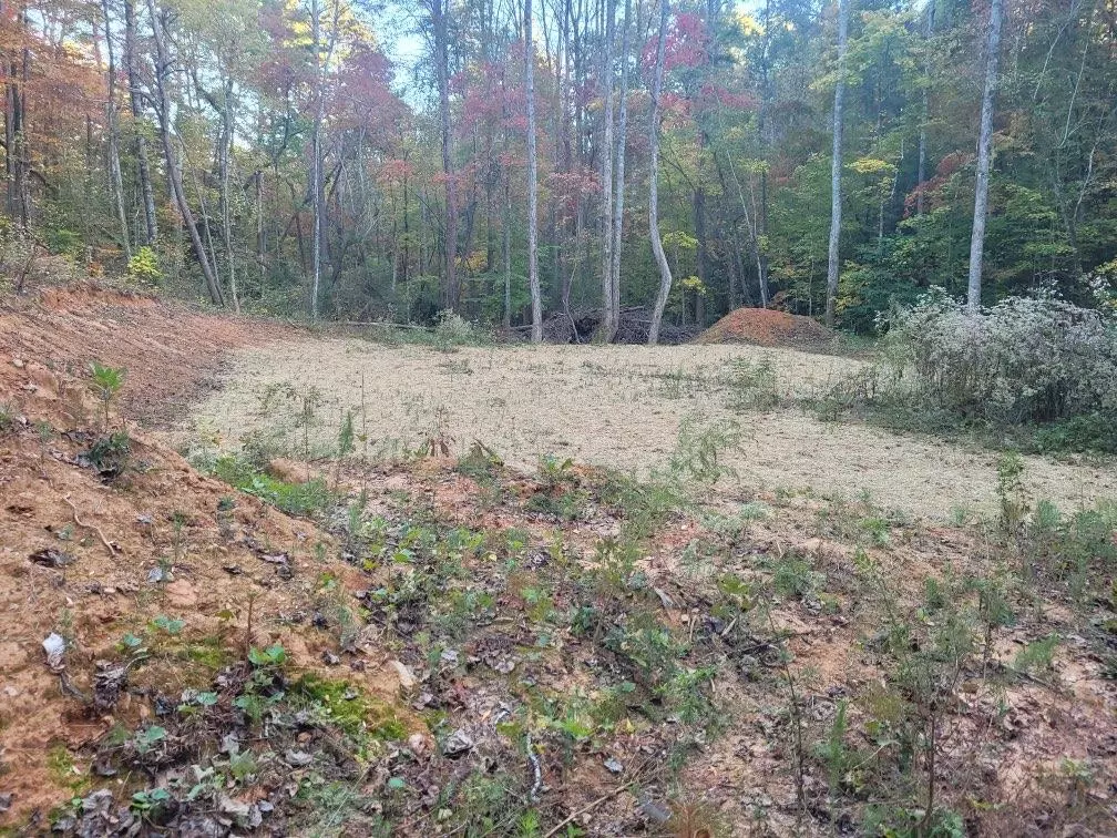 Ellijay, GA 30540,LOT 11 Oscar CT