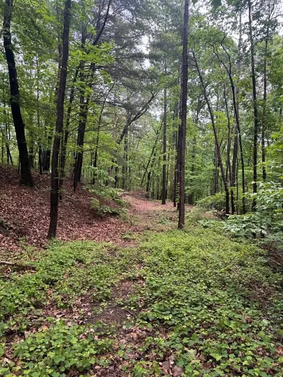 Ranger, GA 30734,543 Parable CT