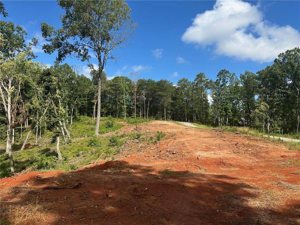 Dawsonville, GA 30534,Lot 2 Yancy DR
