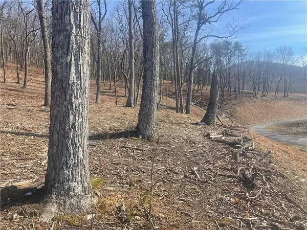 Talking Rock, GA 30175,Lot 17 High Summit DR