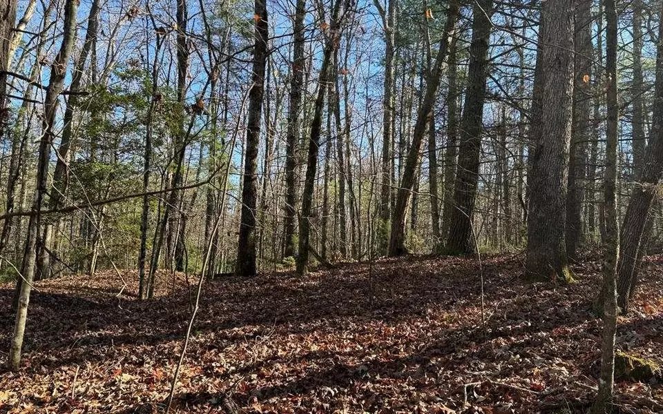 0 Mill Creek Acres, Blue Ridge, GA 30513