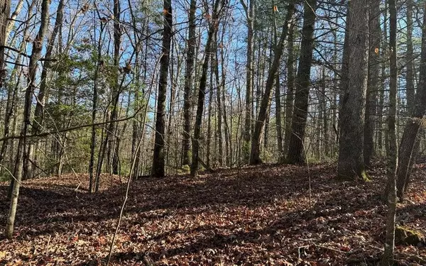 0 Mill Creek Acres, Blue Ridge, GA 30513