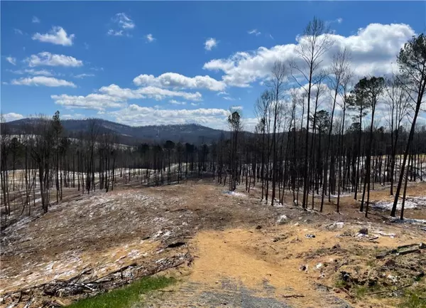 Talking Rock, GA 30175,134 Twisted Oak RD