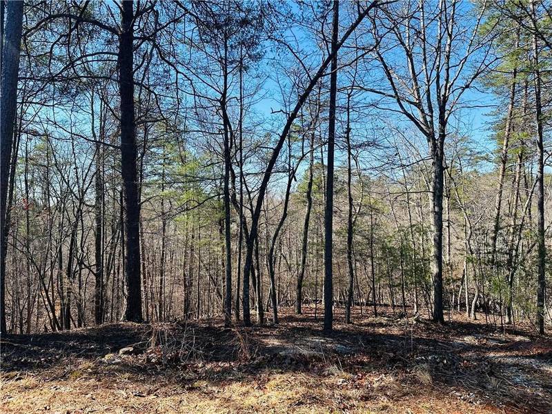 Lot 20 Crown Mountain Way, Dahlonega, GA 30533