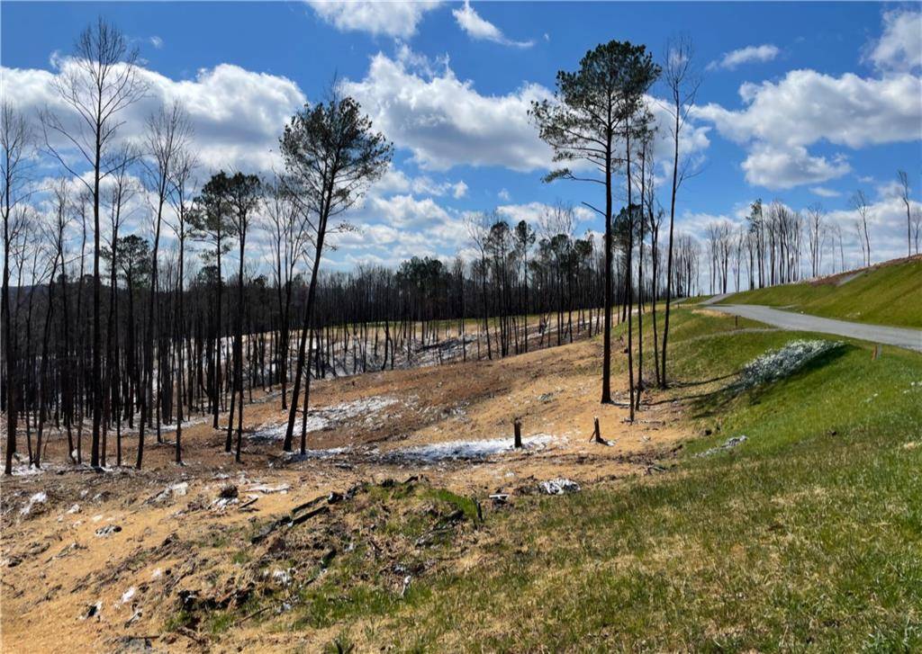 Talking Rock, GA 30175,135 Twisted Oak RD