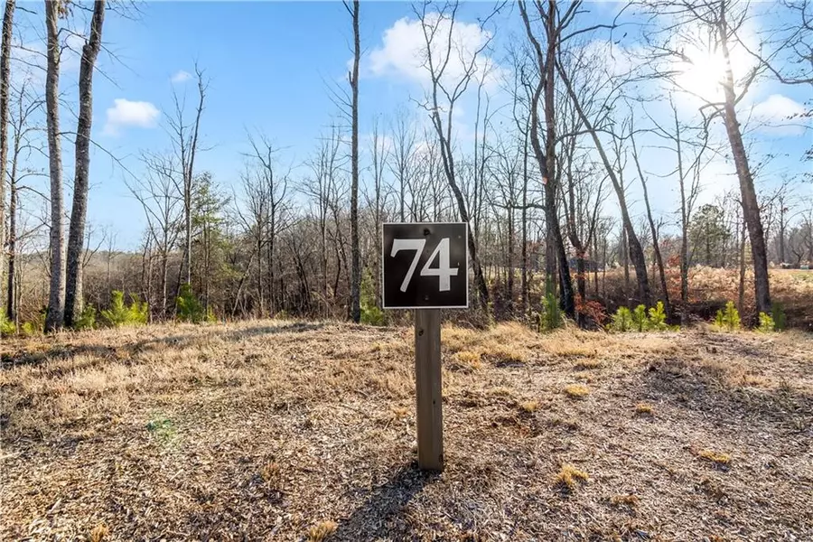 54 River Overlook LN, Ellijay, GA 30540