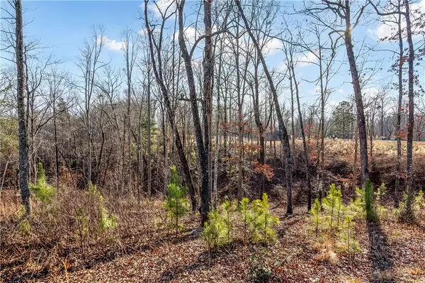 Ellijay, GA 30540,54 River Overlook Ln