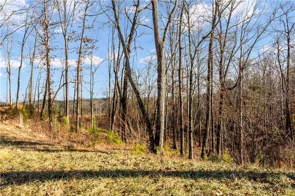 Ellijay, GA 30540,54 River Overlook Ln