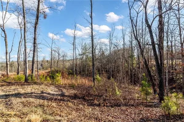 Ellijay, GA 30540,54 River Overlook LN