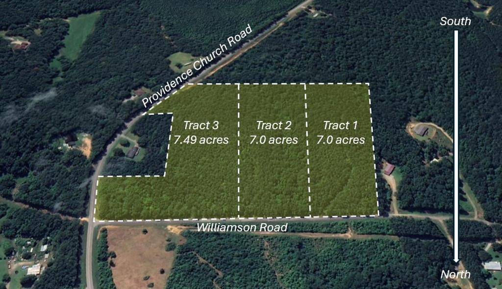 Tallapoosa, GA 30176,Tract3 Williamson RD
