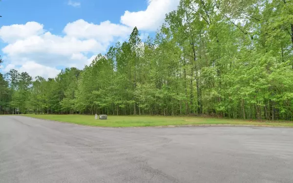 Dahlonega, GA 30533,0 Honey Tree TER