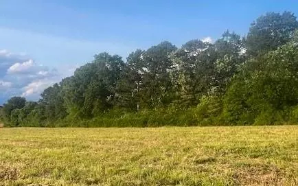 Calhoun, GA 30701,L7 Lovebridge RD