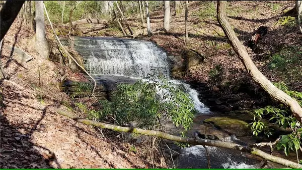 Ellijay, GA 30536,216 St Andrews WAY