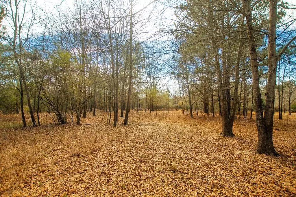 Social Circle, GA 30025,Tr 1 Sandy Ford RD