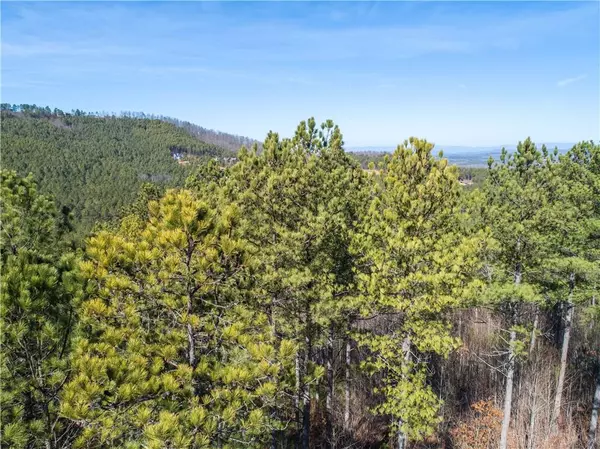 Blairsville, GA 30512,Lt 74 Ridge Crest