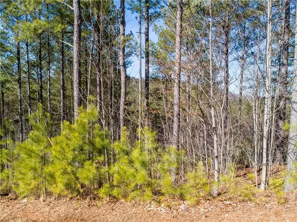 Blairsville, GA 30512,Lt 74 Ridge Crest