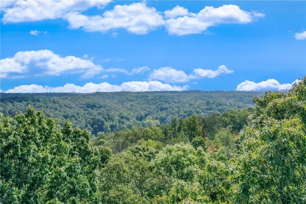 Dahlonega, GA 30533,1042 Bruin CT