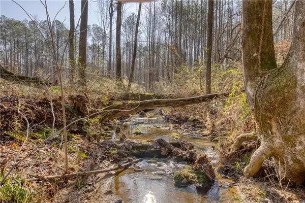 Canton, GA 30115,0 Avery RD