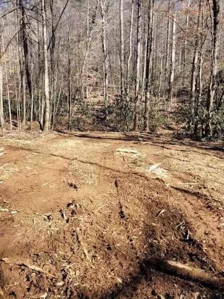 0 Bryant Creek RD, Ellijay, GA 30540