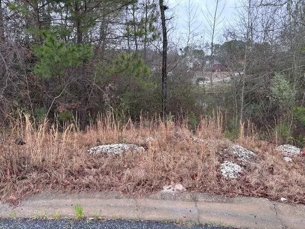 Macon, GA 31216,503 Bellerive CT