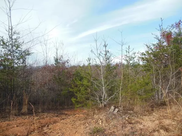 Dahlonega, GA 30533,0 Homer Edwards